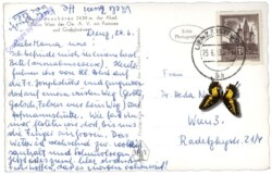 Großglockner, Hoffmannshütte mit Pasterze