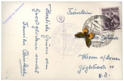 Großglockner, Hochalpenstraße, Glocknerhaus und Pasterze