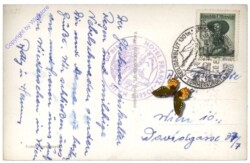 Großglockner, Ansicht