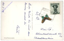 Großglockner, Glocknerkreuz