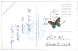 Heiligenblut, mit Großglockner