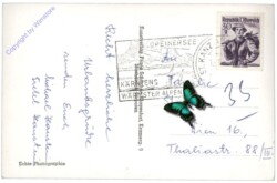 Klopeinersee, mit Hochobir