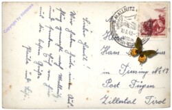 ak113734a Mallnitz, Blick gegen die Geisselspitze