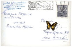 ak113741a Mallnitz, Gasthof Schwussnerhütte