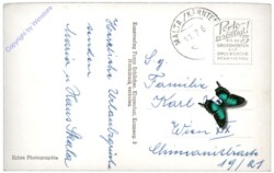 Maltatal, Malta mit Bartlmann