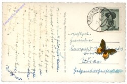 Maria Wörth, Ortsansicht