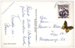 Maria Wörth, Ortsansicht