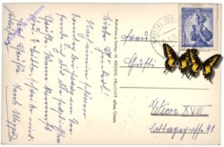 Millstatt, Heroldeck