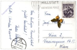 Millstatt, Ortsansicht
