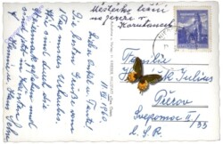 Millstatt, Ortsansicht