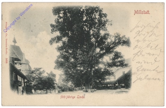 Millstatt, 500 jährige Linde