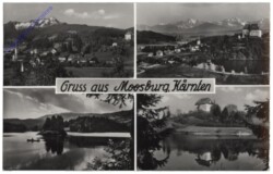 Moosburg, Multiansicht