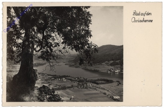 ak113898 Ossiach, Blick auf den Ossiacher See