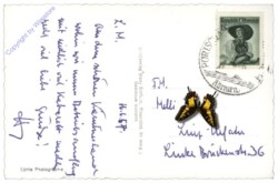 Pörtschach, mit Karawanken