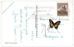 Pörtschach, und Maria Wörth mit den Karawanken