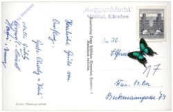 Flattach, Raggaschlucht