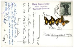 Turracherhöhe, Brandstätter's Seehotel Jägerwirt