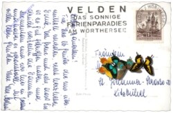 Velden, Südufer mit Karawanken