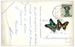 Seeboden, Hohe Warte und Seekopf v.d. ob. Wolayer-Alm