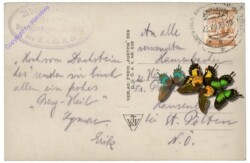 Gosau, Adamekhütte gegen Bischofsmütze mit Hochkönig