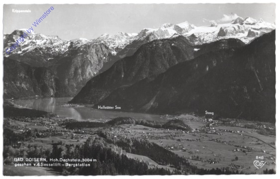 Bad Goisern, gesehen von der Sessellift-Bergstation