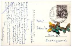 Bad Schallerbach, Kurhaus