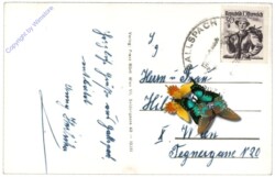 Gallspach, Institut Zeileis