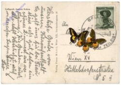 Gallspach, Institut Zeileis