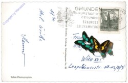Gmunden, Schloss Ort mit Traunstein