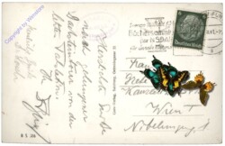 Gosau, Gosau-See mit Dachstein