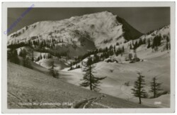 Bad Mitterndorf, Grasalm mit Lawinenstein