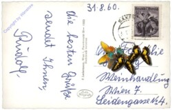 Grein an der Donau, Multiansicht