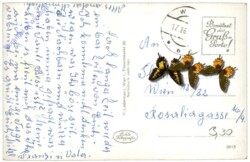 Grein, Schloss Greinburg