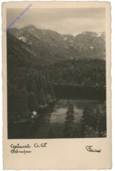 Grünau, Almsee
