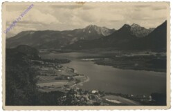 St. Wolfgang, Ried und Ferienhort