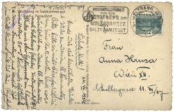 St. Wolfgang, Ried und Ferienhort