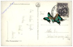 St. Wolfgang, Ortsansicht