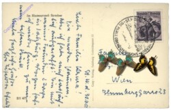 St. Wolfgang, Ortsansicht