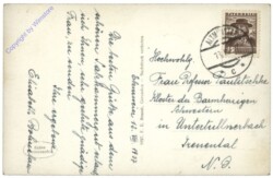 Traunsee, Dampfer am See