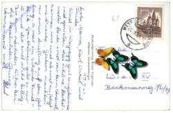 Weyregg am Attersee, Ortsansicht