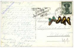 Wolfsegg, mit Bad