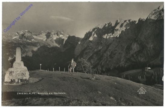 Zwieselalpe, Ausblick auf den Dachstein