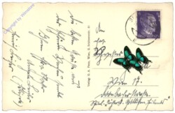 Aggstein a.d. Donau, Ruine Aggstein