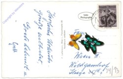 Altenmarkt a.d. Triesting, Ortsansicht