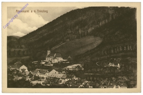 Altenmarkt a.d. Triesting, Ortsansicht