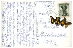 Annaberg, Kaiserthron