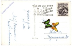 Baden, Blumenuhr im Kurpark