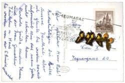 Bad Deutsch Altenburg, Speisesaal im Kurhaus