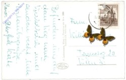 Bad Schönau, Mineralbad