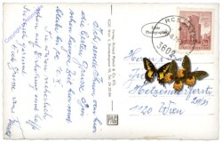 Rossatz, gegen Dürnstein